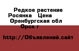 Редкое растение Росянка › Цена ­ 250 - Оренбургская обл., Орск г.  »    